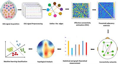 Machine learning for the detection of social anxiety disorder using effective connectivity and graph theory measures